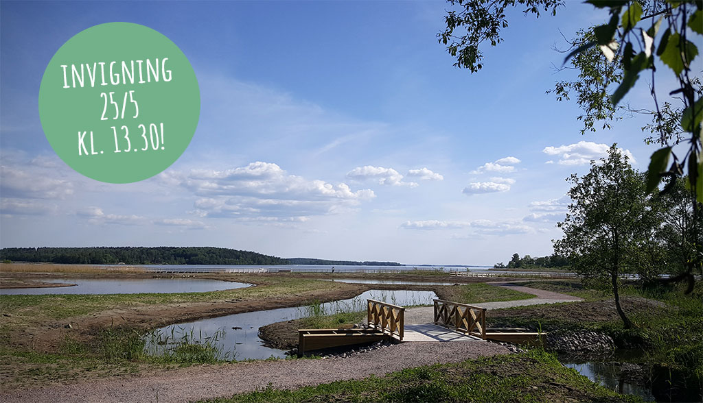 Mälarenergi har anlagt dagvattendammar och Västerås stad har iordningställt strövområden vid Hamre våtmark i Västerås.